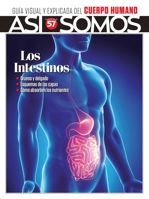 Title details for Así Somos - El cuerpo humano by Media Contenidos - Available